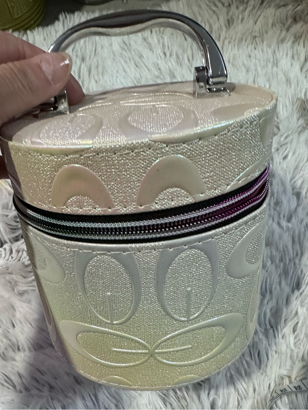 Iridescent small Cosmetic Bag case with Handle and Zipper
